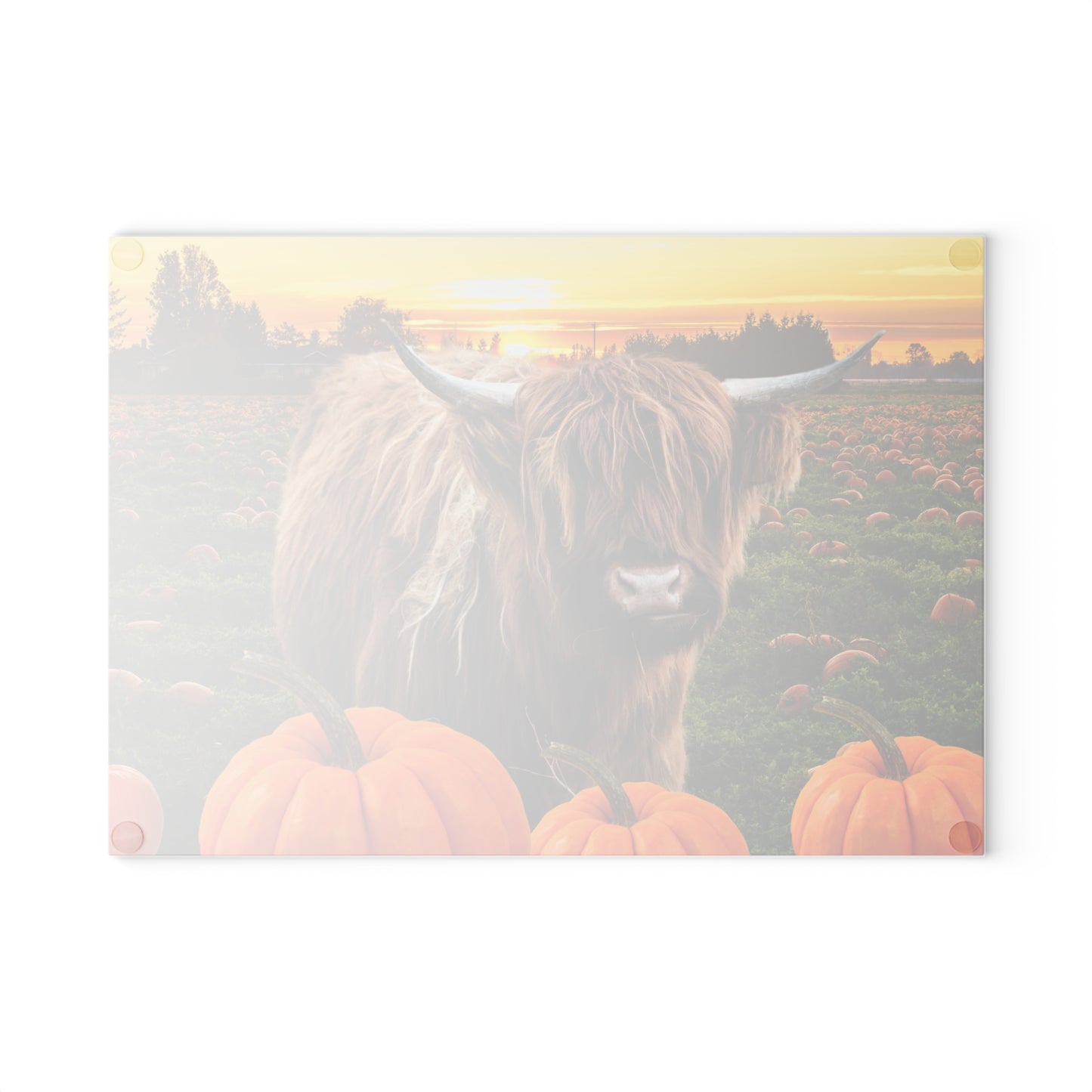 Fall-Themed Highland Cow Glass Cutting Board, Autumn Kitchen Decor, Pumpkin, Thanksgiving Gifts, Seasonal Cooking Accessories