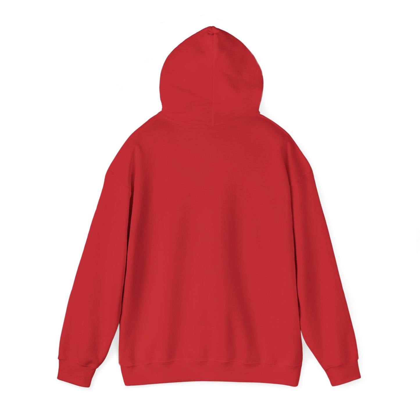 Christmas Family Matching "noel." Hoodie