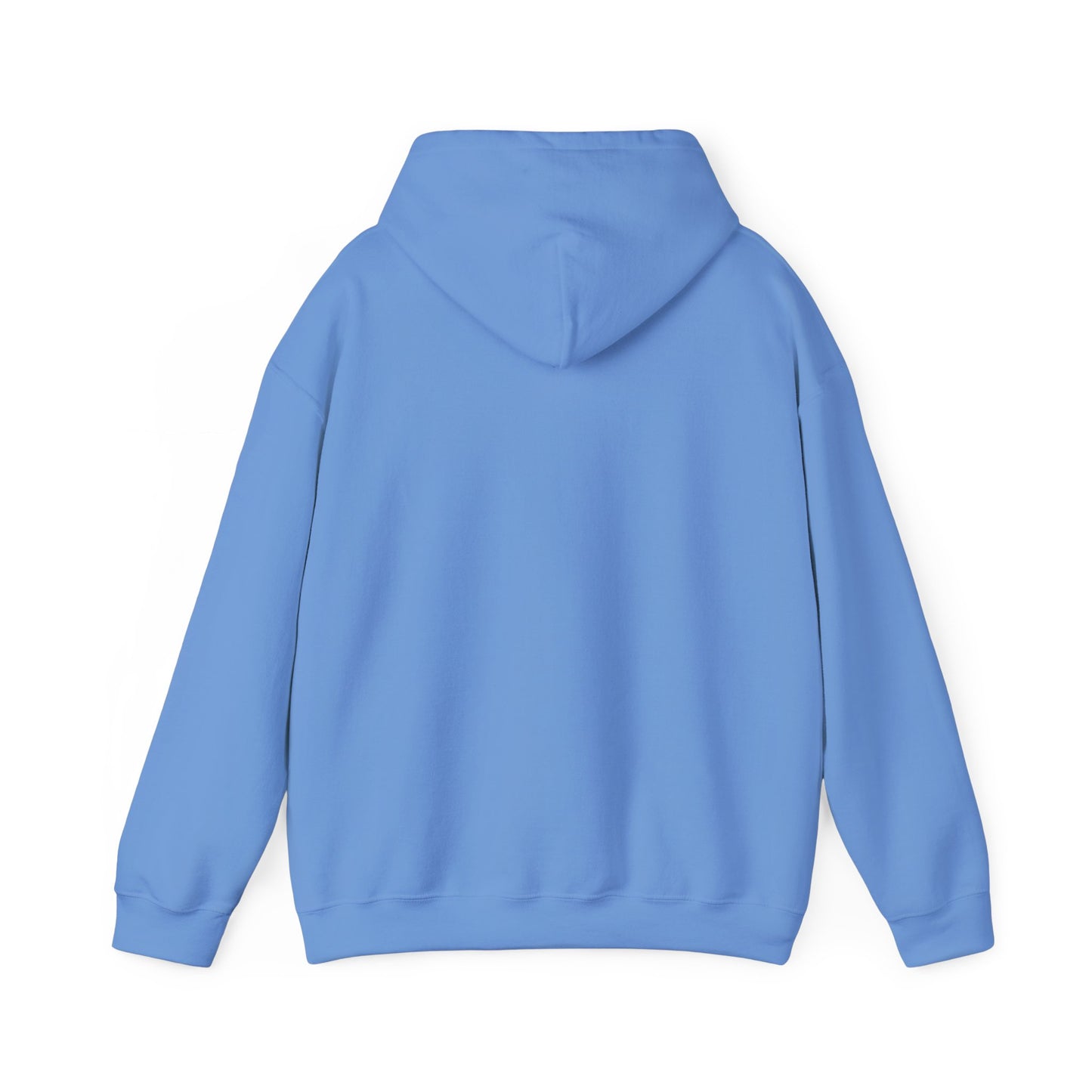 Metiche University, Hoodie