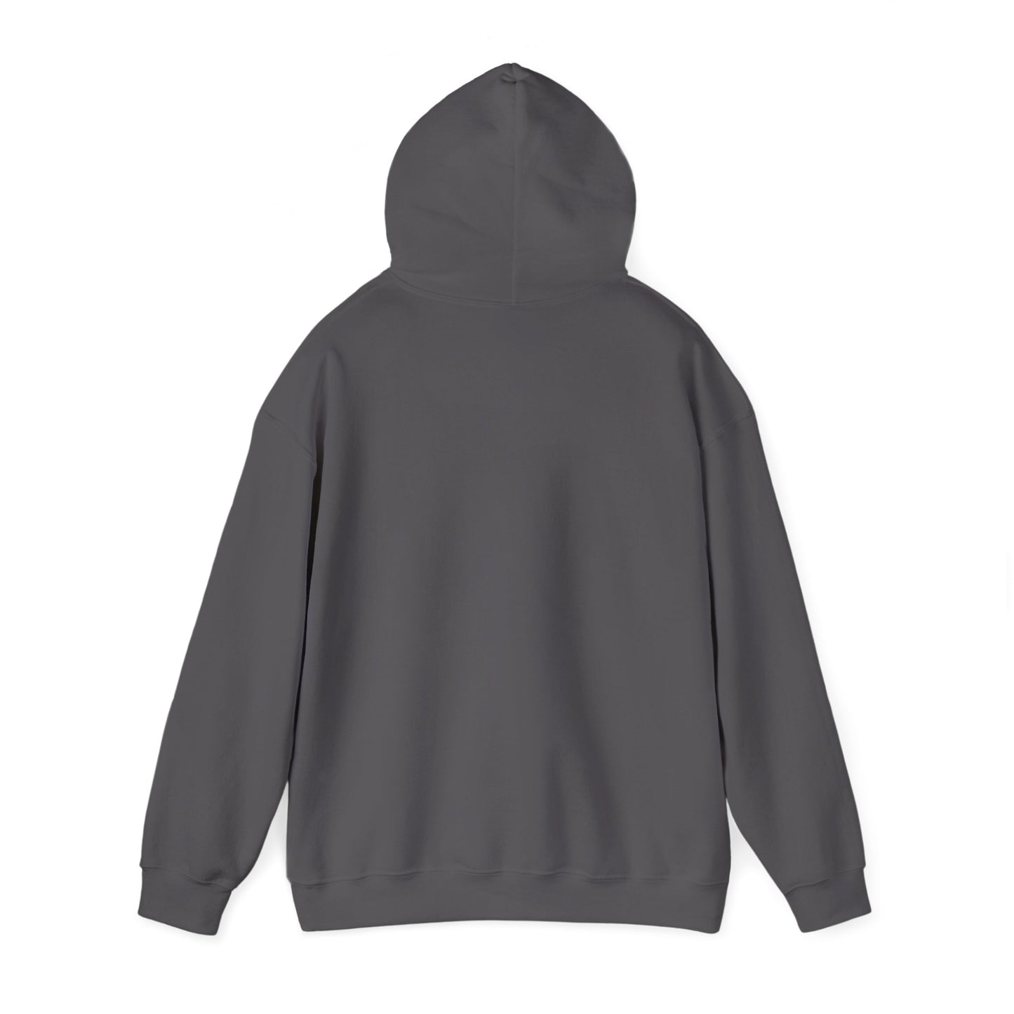 Christmas Family Matching "Joy" Hoodie