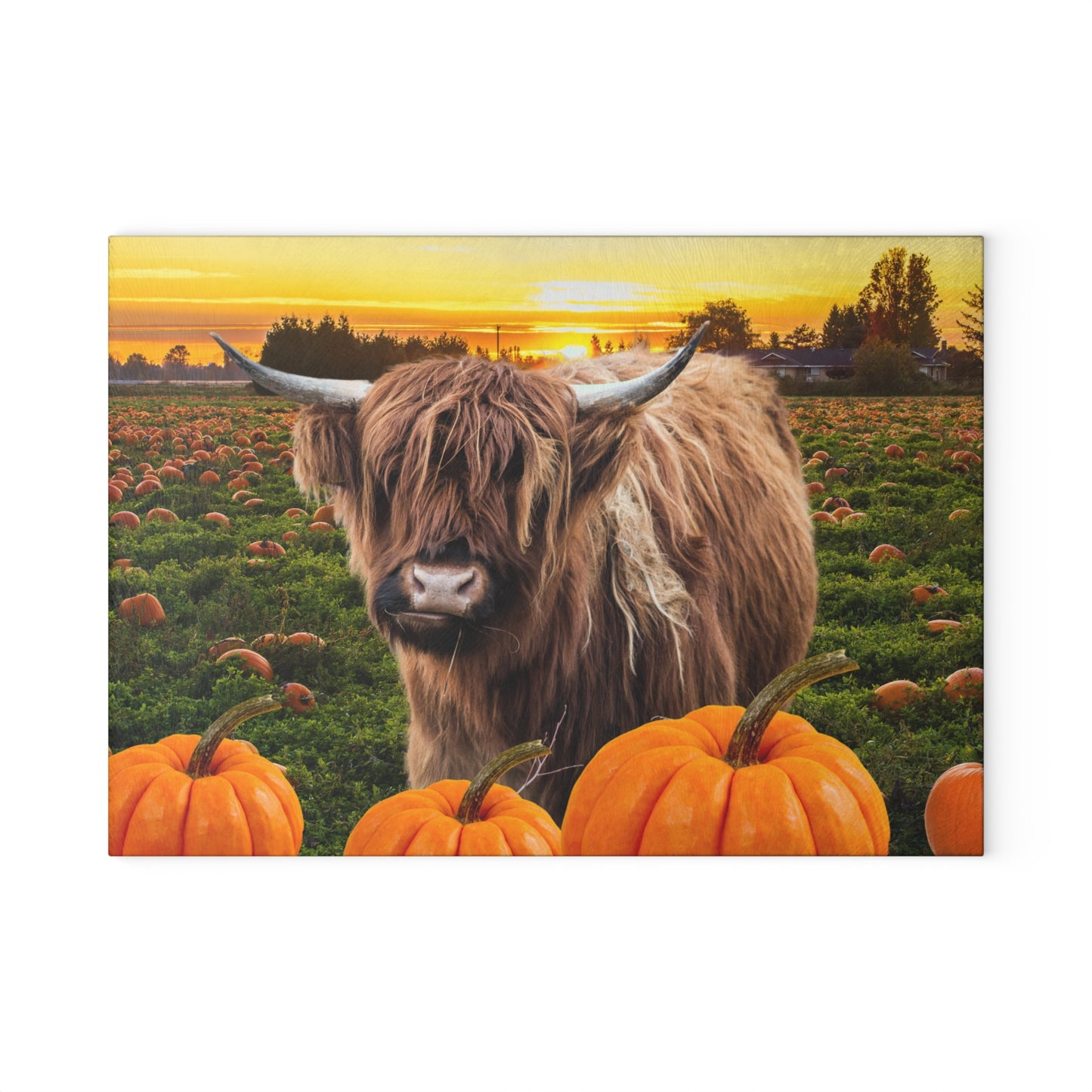 Fall-Themed Highland Cow Glass Cutting Board, Autumn Kitchen Decor, Pumpkin, Thanksgiving Gifts, Seasonal Cooking Accessories