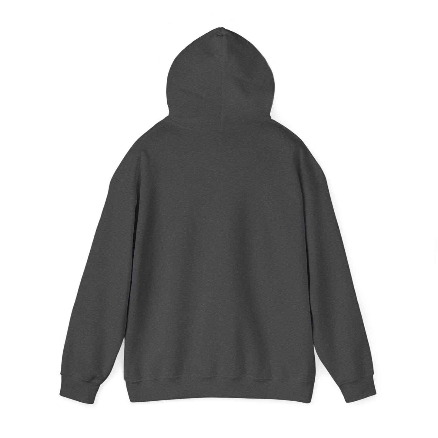Christmas Family Matching "Naughty" Hoodie