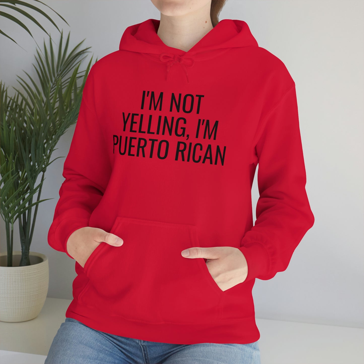 I'm Not Yelling I'm Puerto Rican, Hoodie
