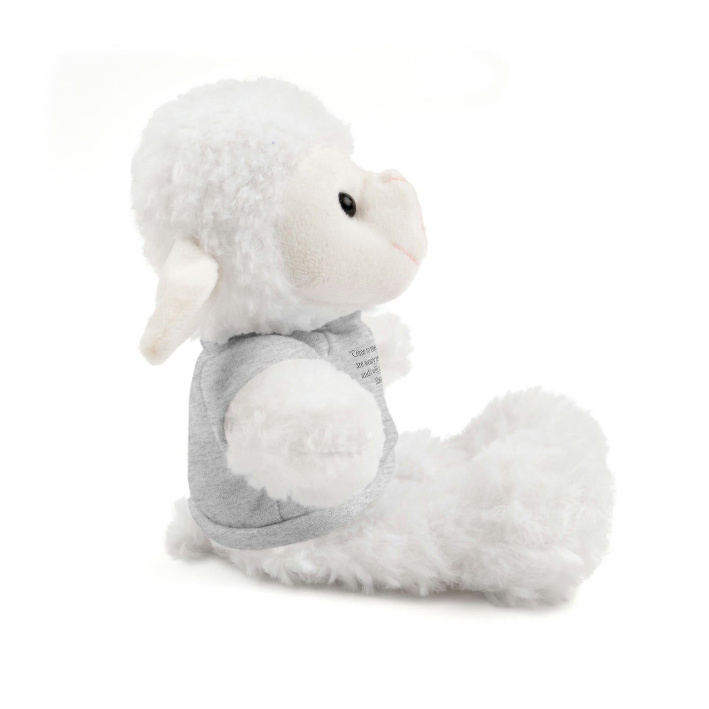 Matthew 11:28, Stuffed Animal with Tee