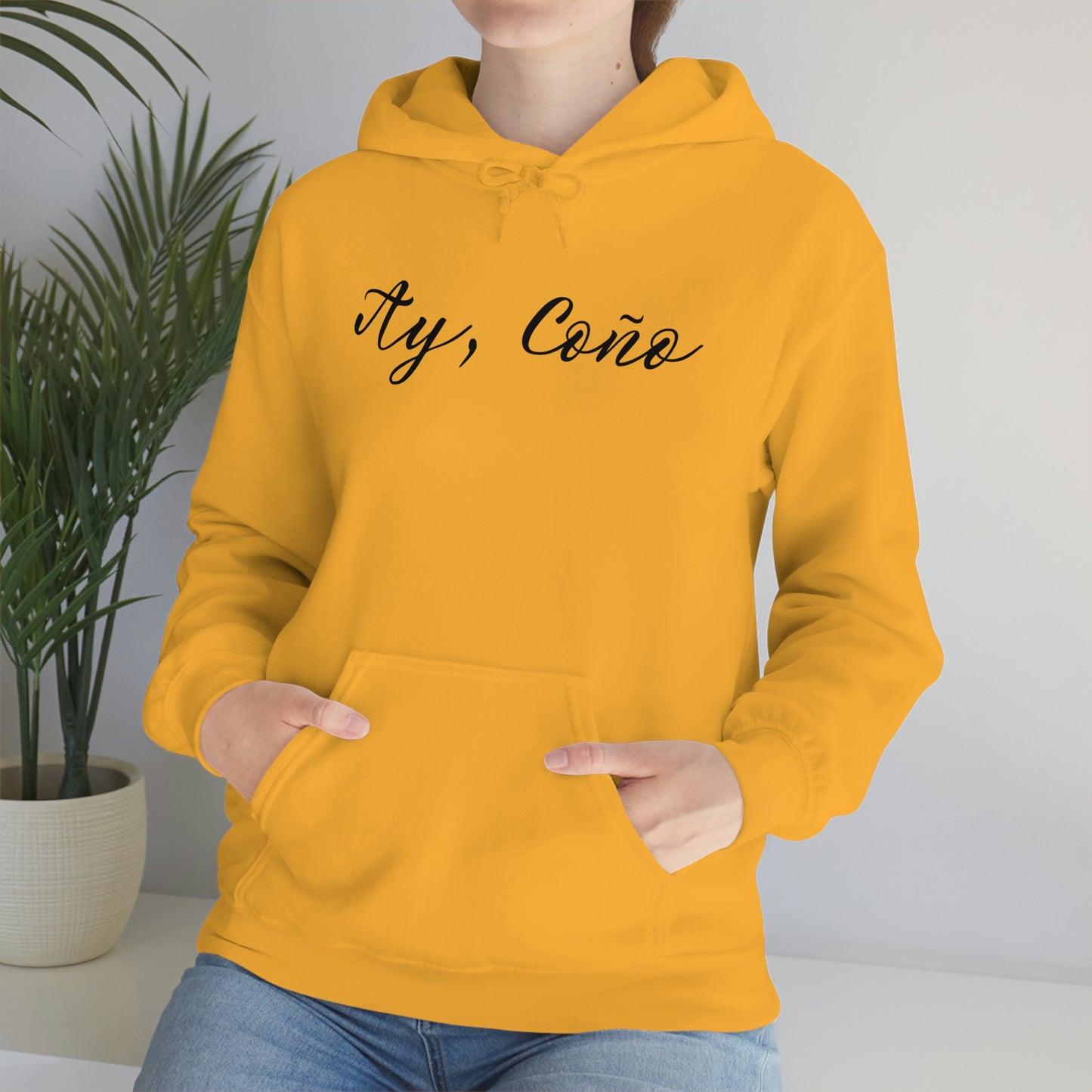 Ay Coño, Hoodie