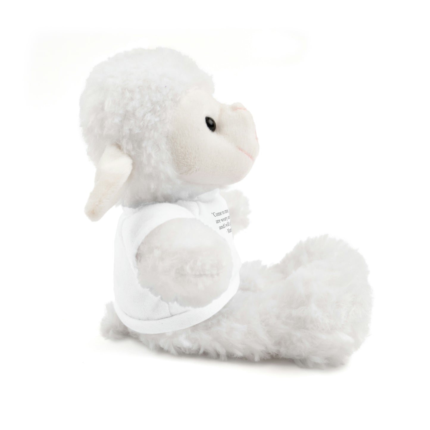 Matthew 11:28, Stuffed Animal with Tee