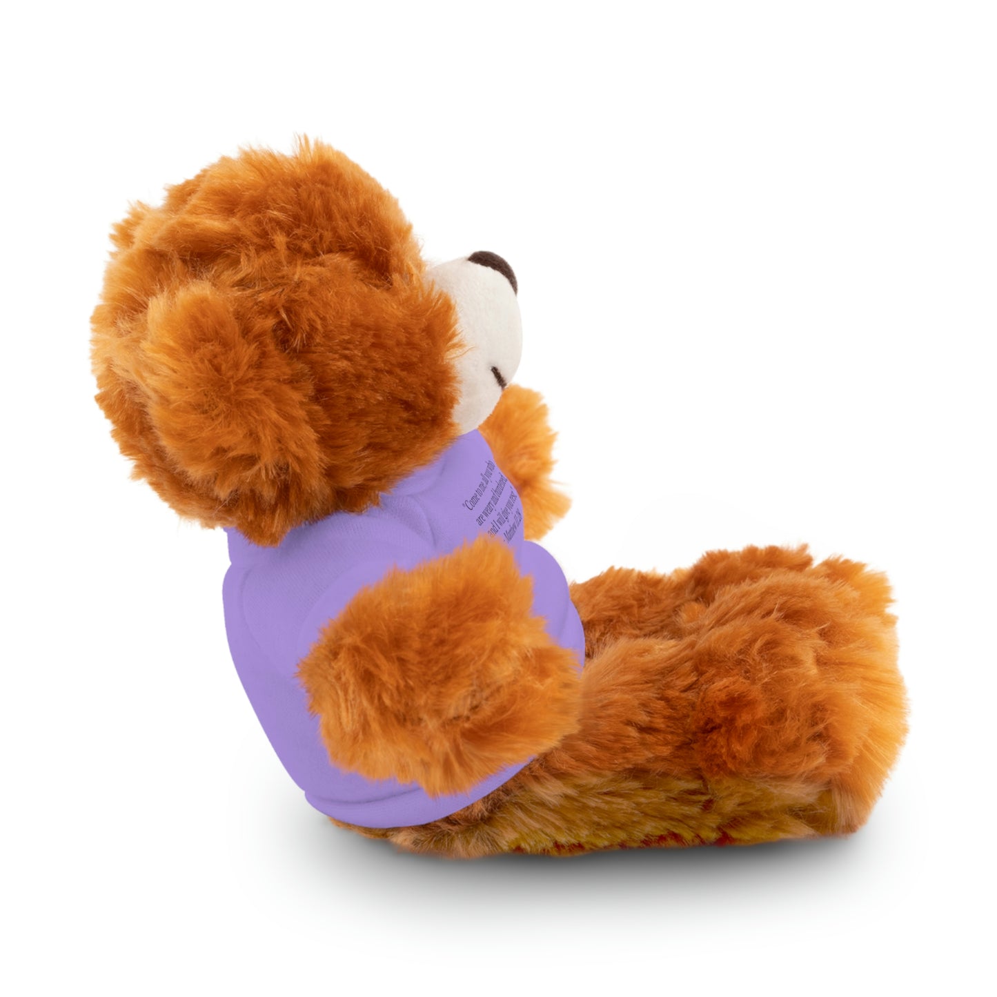 Matthew 11:28, Stuffed Animal with Tee