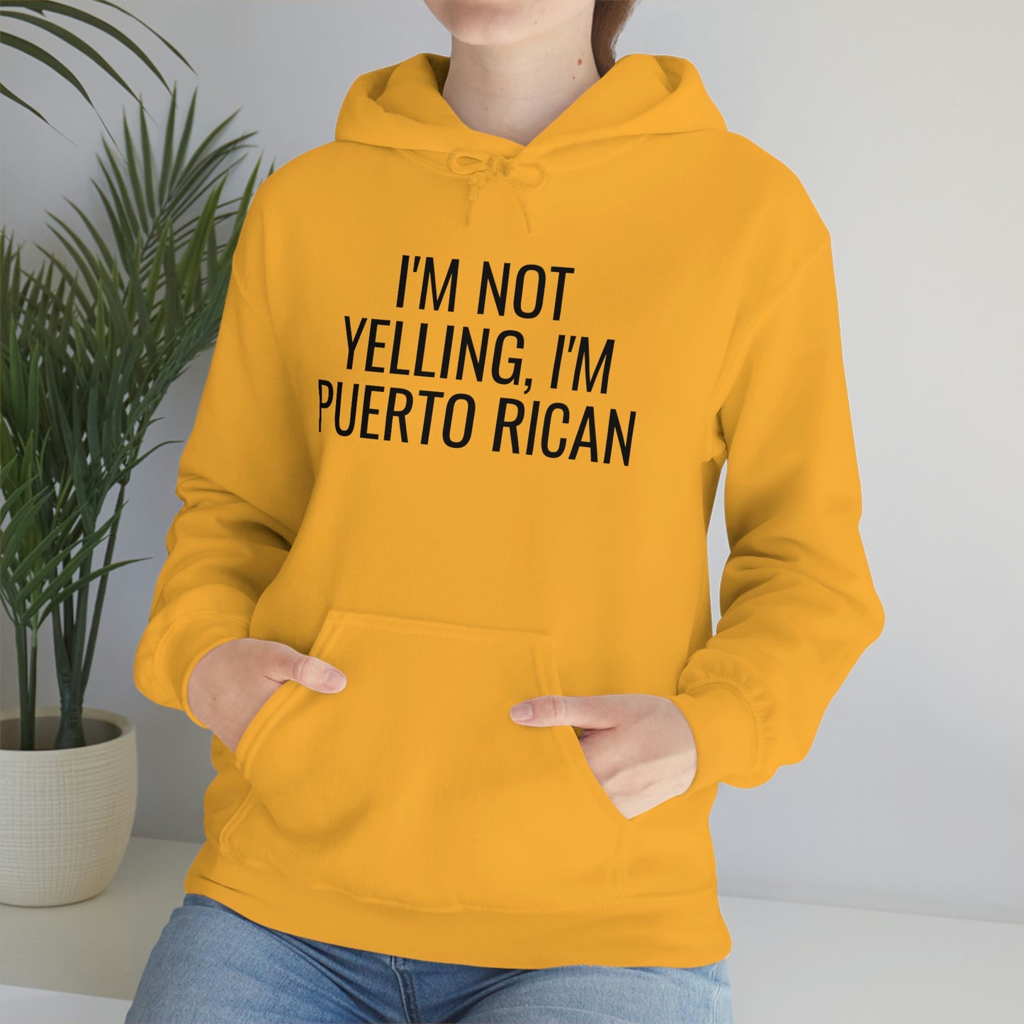 I'm Not Yelling I'm Puerto Rican, Hoodie
