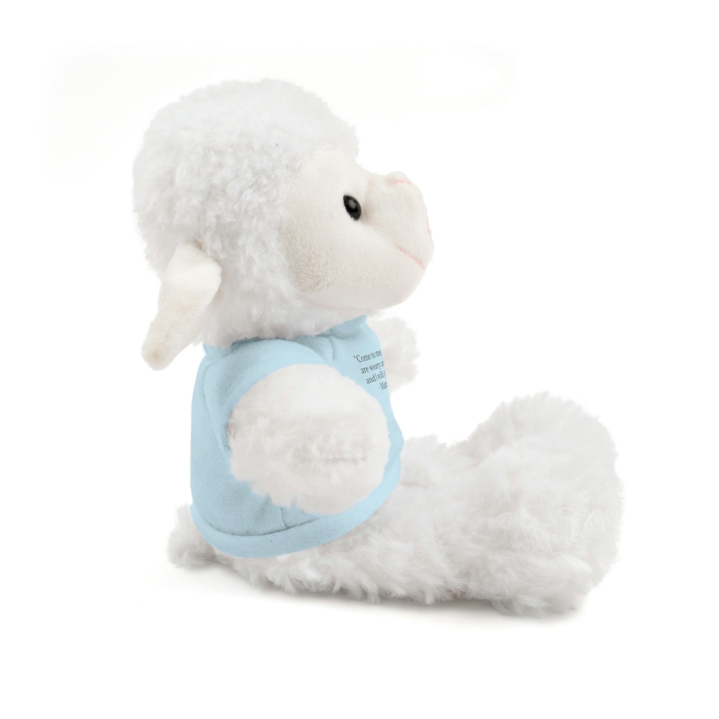 Matthew 11:28, Stuffed Animal with Tee