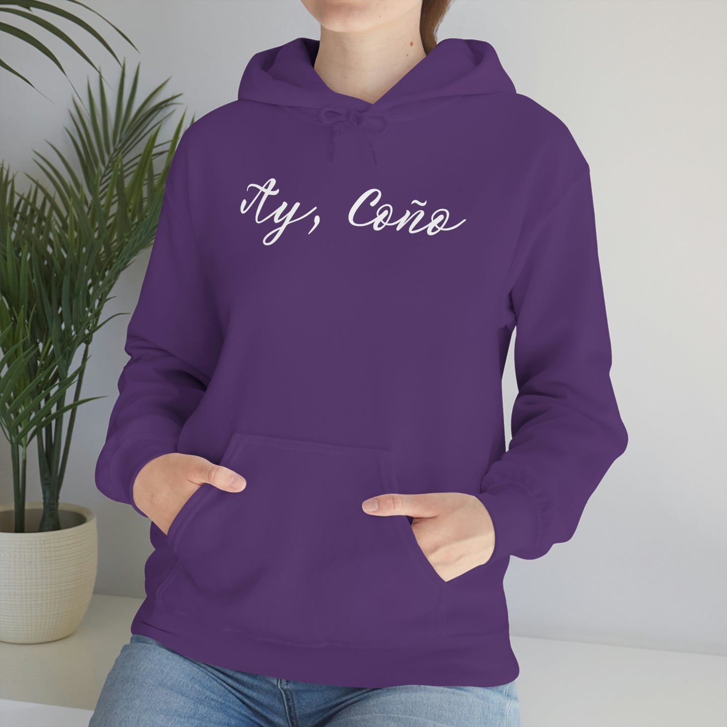 Ay, Coño Hoodie