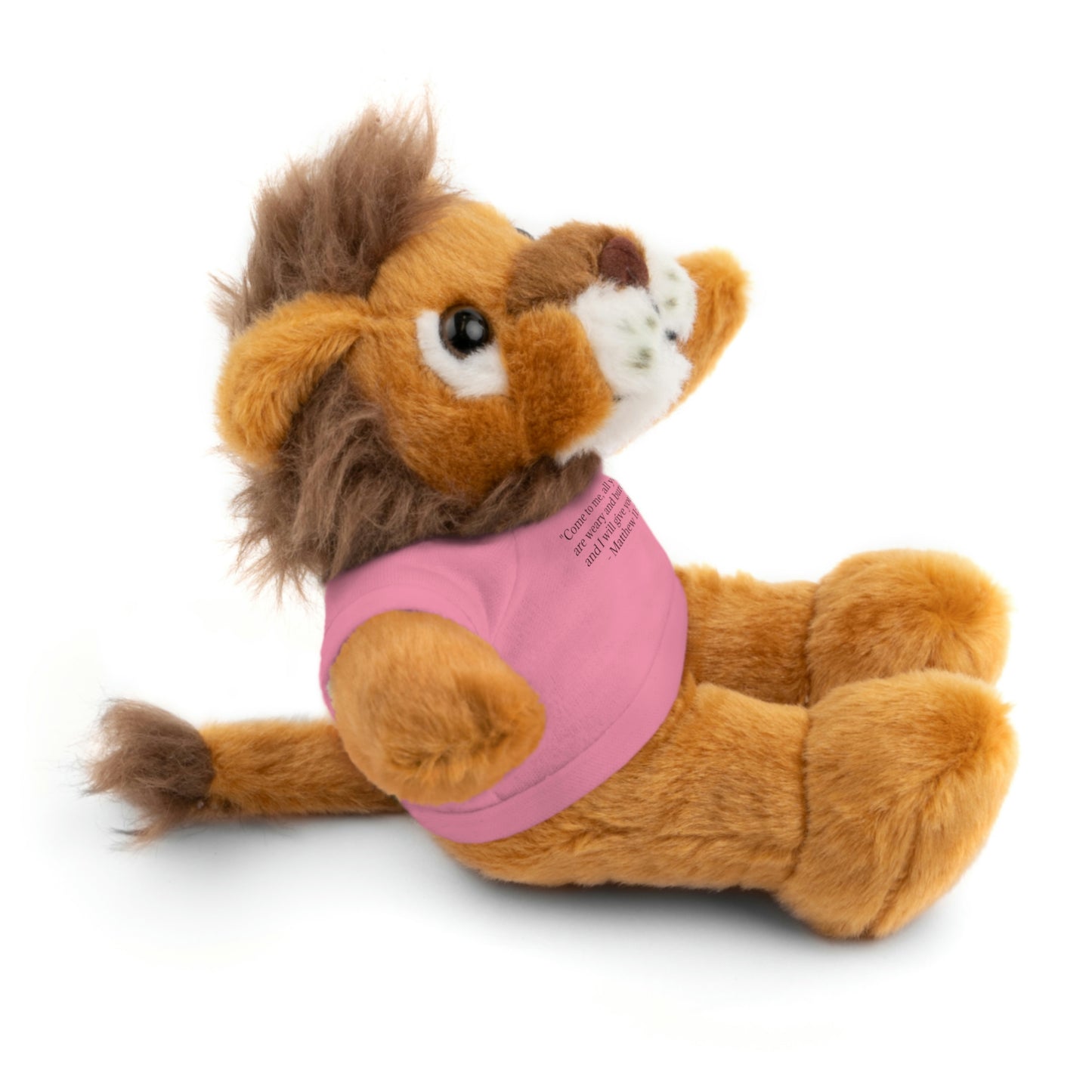 Matthew 11:28, Stuffed Animal with Tee