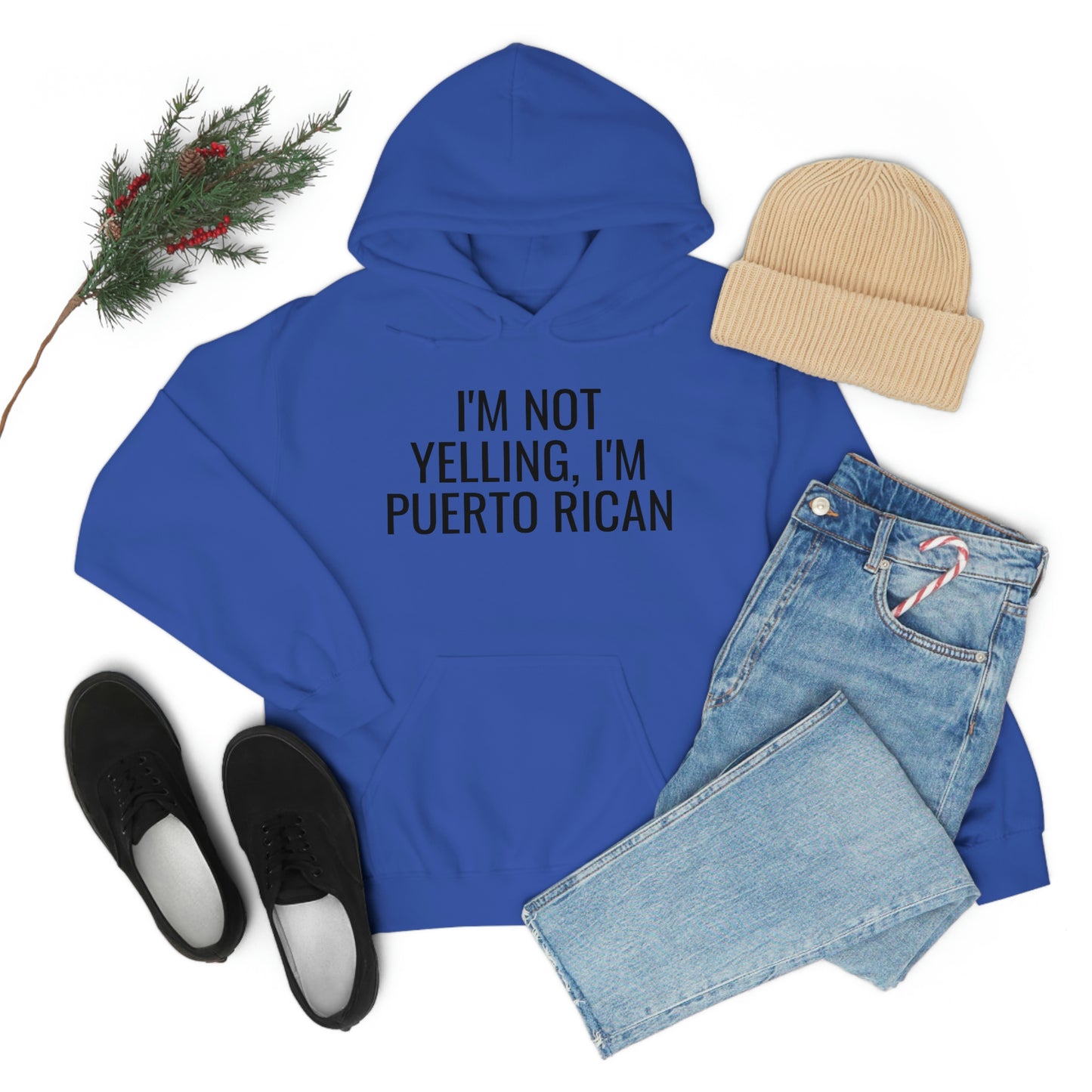 I'm Not Yelling I'm Puerto Rican, Hoodie