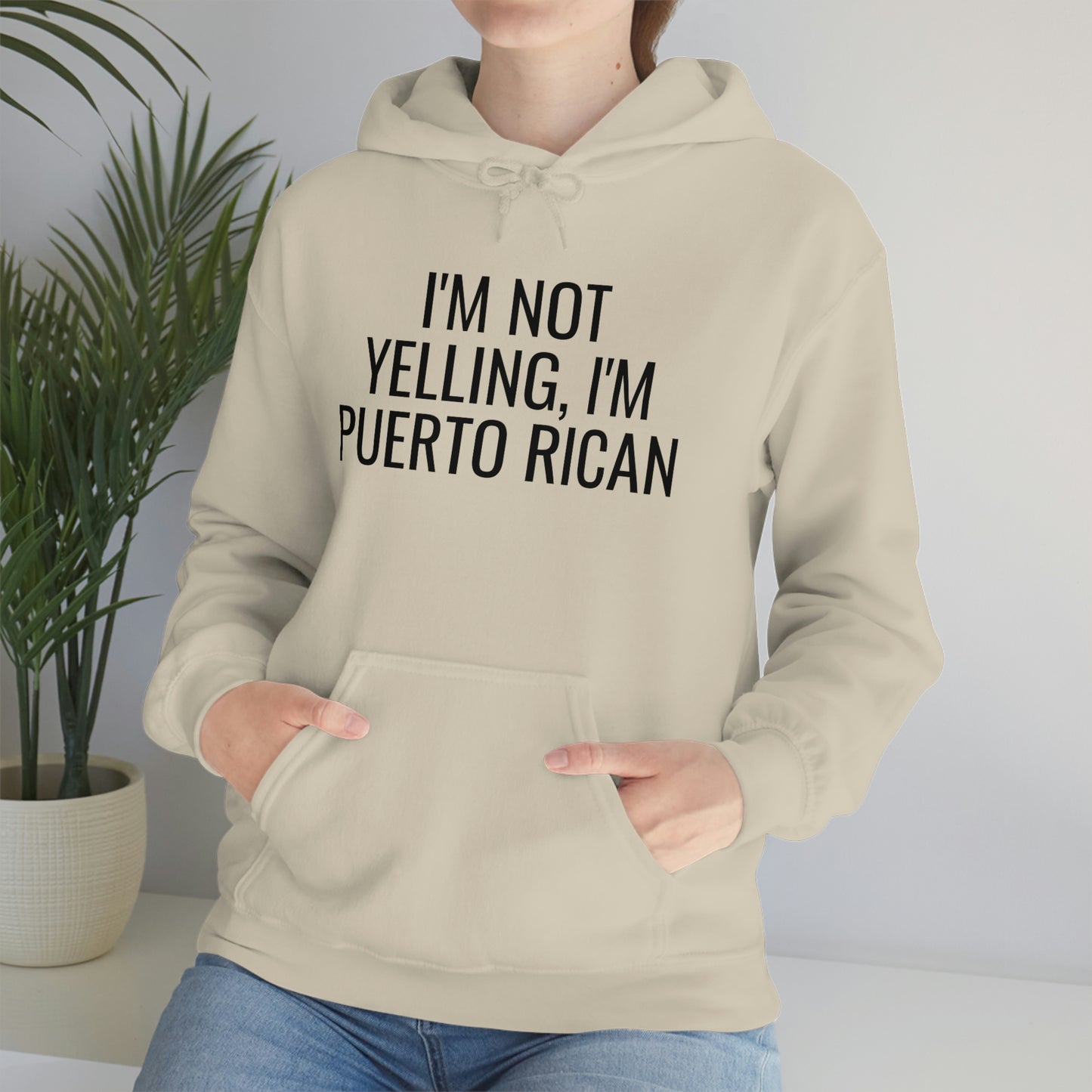 I'm Not Yelling I'm Puerto Rican, Hoodie