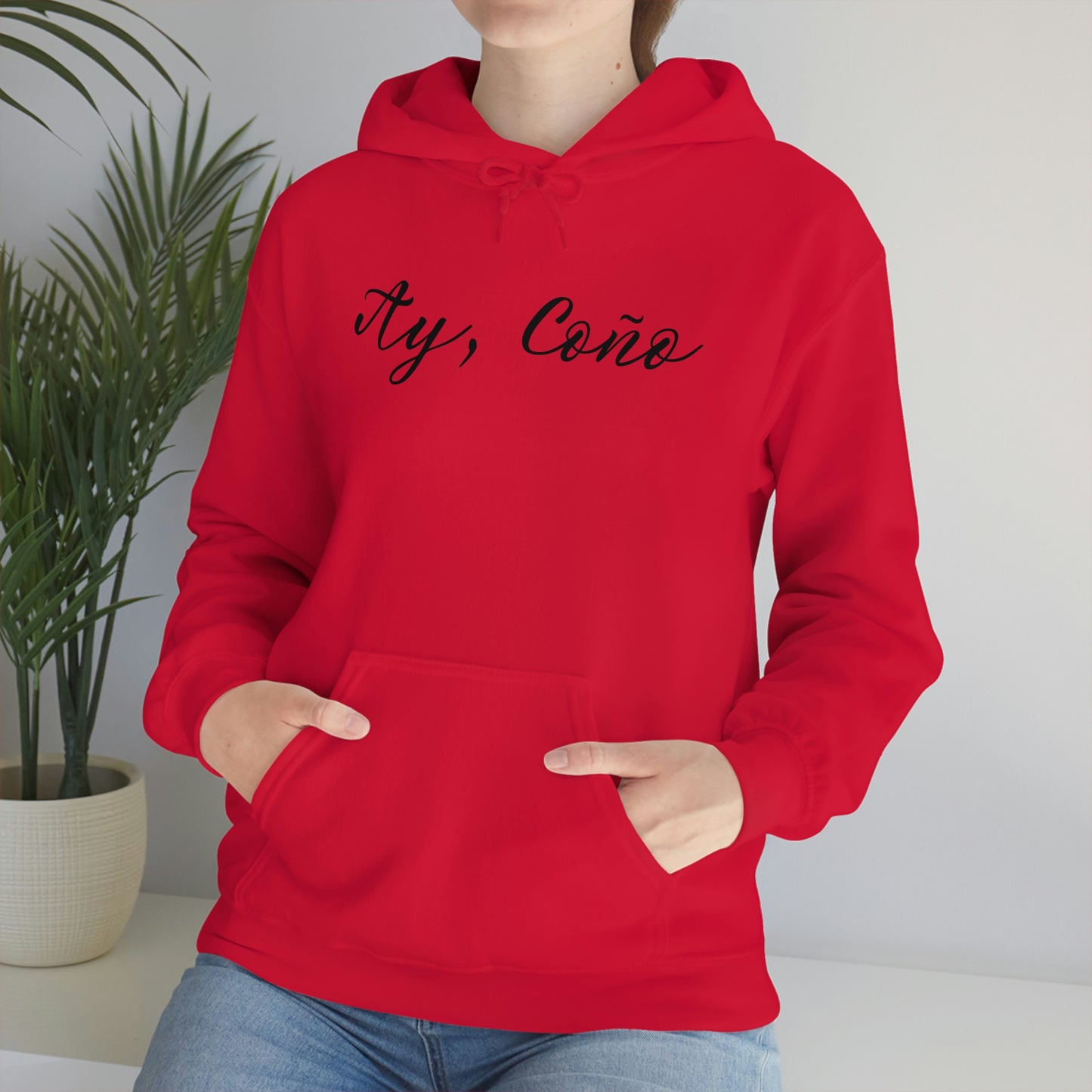 Ay Coño, Hoodie