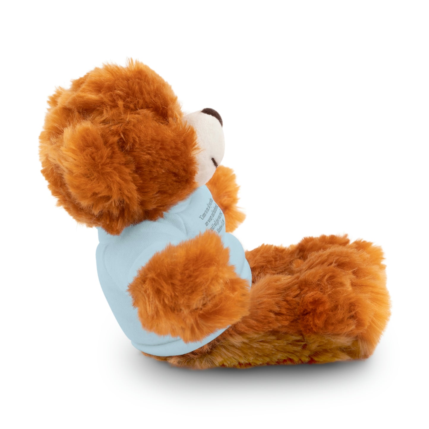 Matthew 11:28, Stuffed Animal with Tee