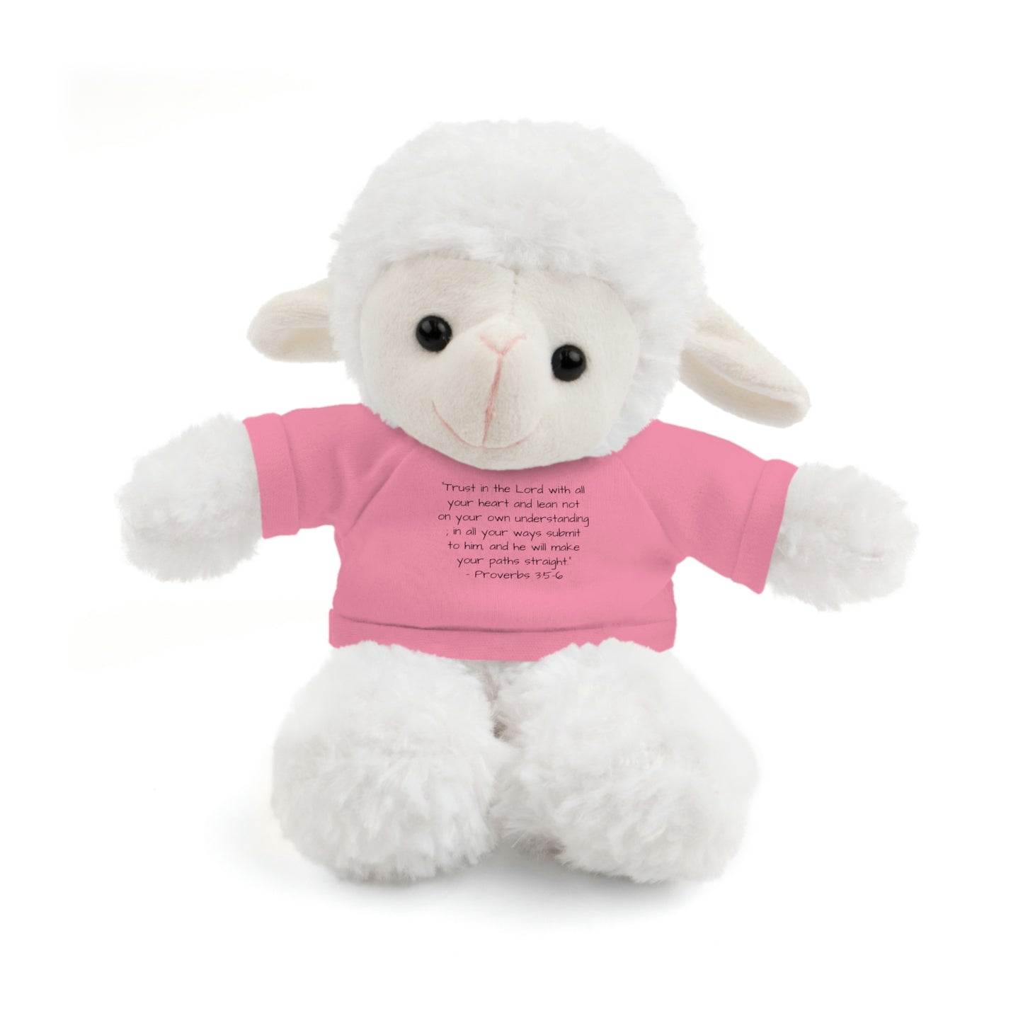 Proverbs 3:5-6, Stuffed Animal with Tee