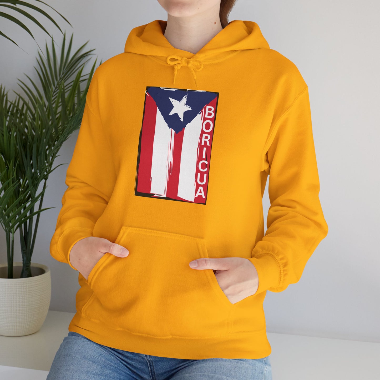Boricua, Hoodie