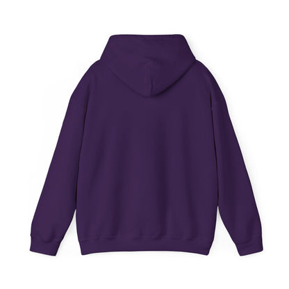 Metiche University, Hoodie