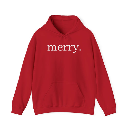 Christmas Family Matching "Merry" Hoodie