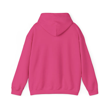 Metiche University, Hoodie