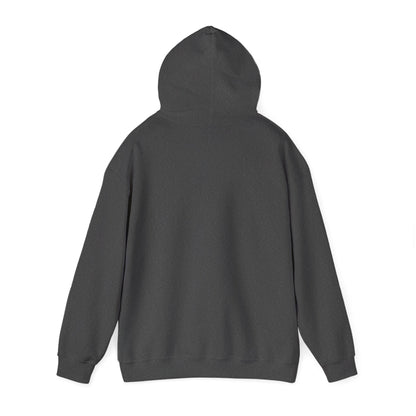 Christmas Family Matching "Naughty" Hoodie