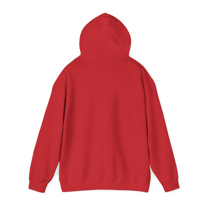 Christmas Family Matching "Believe" Hoodie