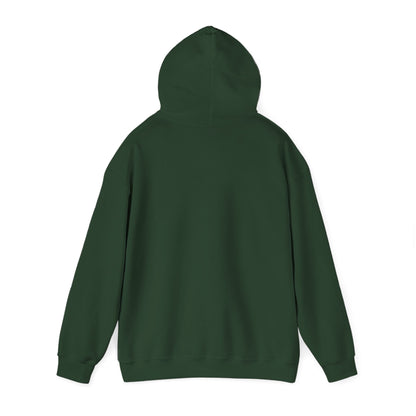 Christmas Family Matching "Naughty" Hoodie