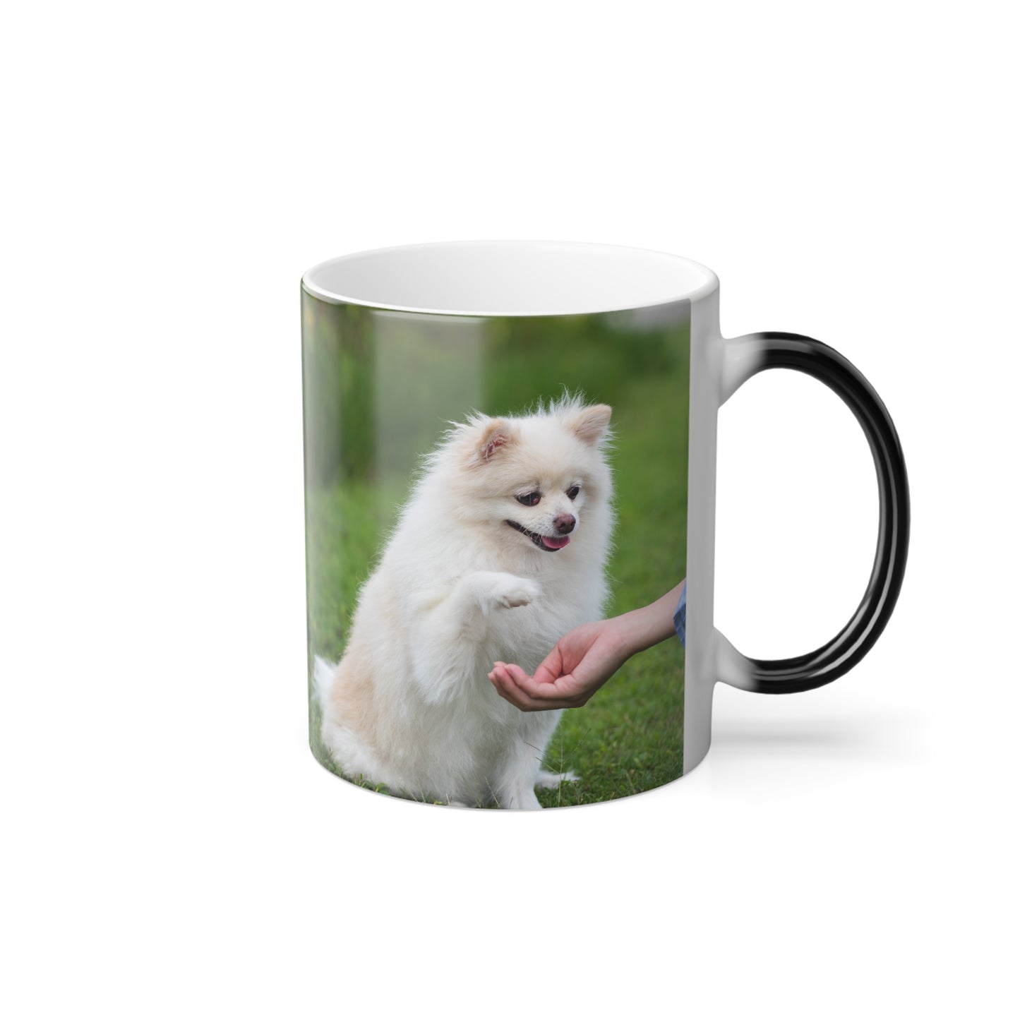 Custom Photo Thermal Morphing Mug 11oz