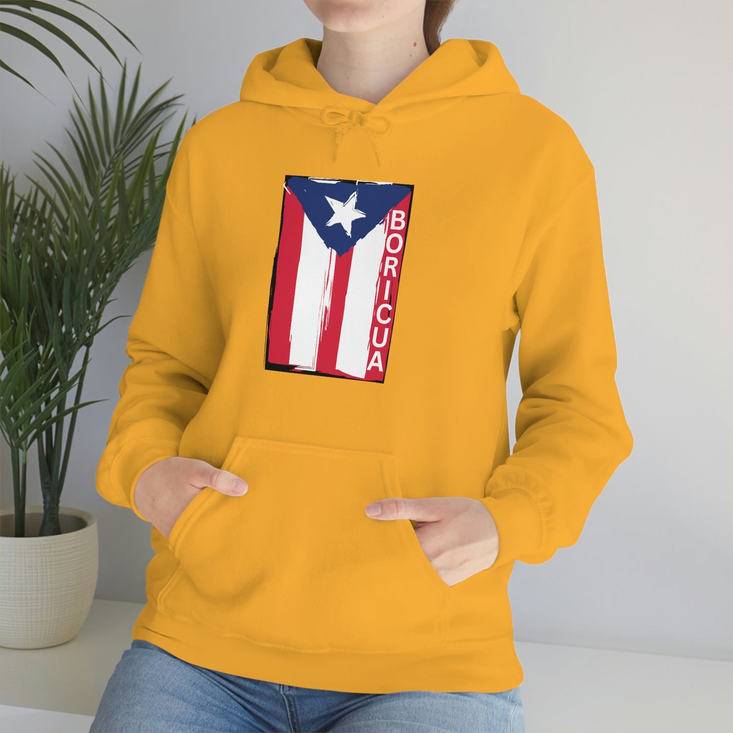 Boricua, Hoodie